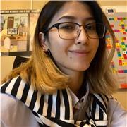 Bachelors degree in humanities